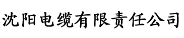 大菠萝网站在线免费观看电缆厂logo